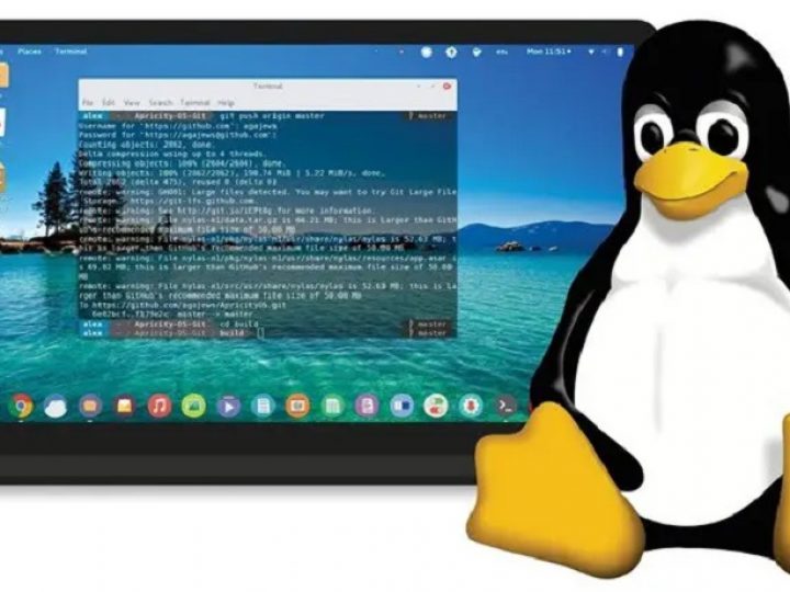 Four Best Linux Distro For Beginners
